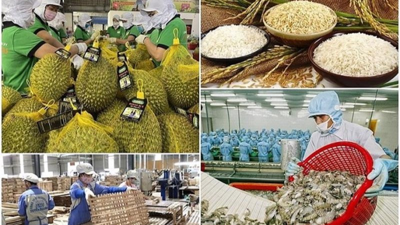 Ngành nông nghiệp đặt mục tiêu thực hiện kim ngạch xuất khẩu toàn ngành đạt 65 tỷ USD trong năm 2025.