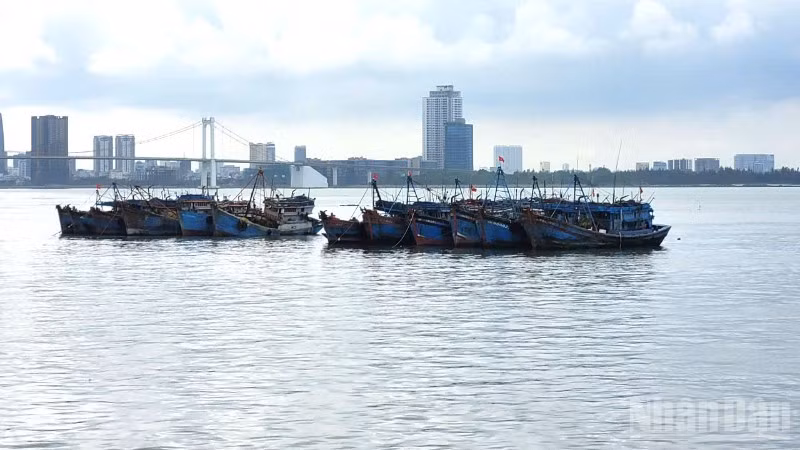 Phó Thủ tướng Trần Hồng Hà ký Công điện số 18/CĐ-TTg ngày 25/2/2026 về việc tập trung chuẩn bị làm việc với Đoàn Thanh tra của Ủy ban châu Âu (EC) lần thứ 5, quyết tâm gỡ cảnh báo “thẻ vàng” đối với thủy sản Việt Nam.