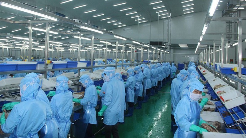 Xuất khẩu thủy sản tháng 6 tăng chậm lại do sụt giảm mạnh từ thị trường Mỹ. (Ảnh minh họa: BÁO NHÂN DÂN) 