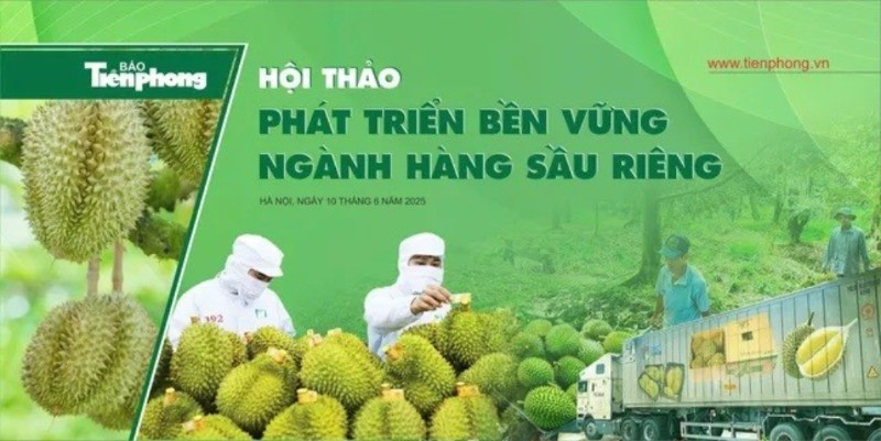 Hội thảo “Phát triển bền vững ngành hàng sầu riêng” do Báo Tiền Phong tổ chức ngày 10/6 theo hình thức trực tiếp và trực tuyến.