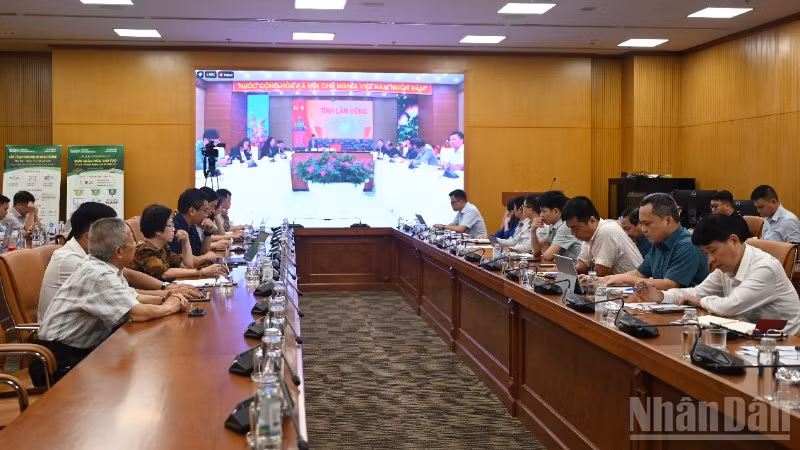 Hội nghị triển khai thực hiện Nghị quyết số 36/2026/NQ-CP của Chính phủ về đơn giản hóa thủ tục hành chính đối với mã số vùng trồng, mã số cơ sở đóng gói ngày 4/8.