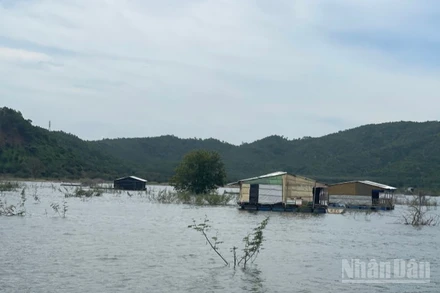 Hồ Sông Lũy bị người dân lấn chiếm.