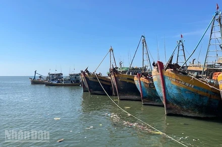 Hơn 2.100 tàu cá hết hạn đăng kiểm và giấy phép đã có đơn vị cấp phép.