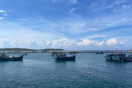 Khu neo đậu tránh trú bão.