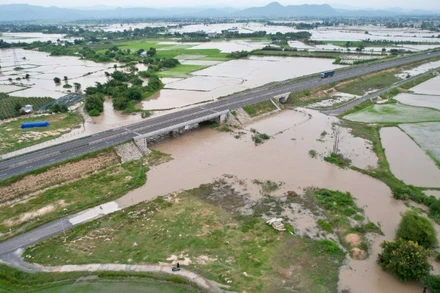 Nhiều hoa màu bị thiệt hại do ngập sâu.