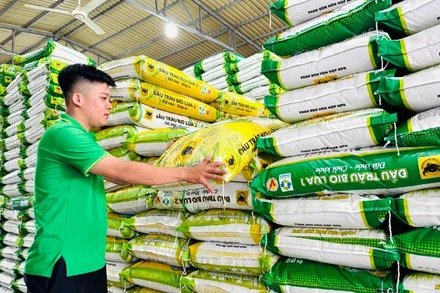 Bộ sản phẩm chủ lực cho chiến lược “Xanh hóa từ nhà máy đến ruộng vườn ” của Công ty cổ phần Phân bón Bình Điền: Đầu Trâu Bio-Canxi, Đầu Trâu Bio Lúa 1 và Đầu Trâu Bio Lúa 2.