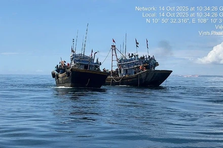 2 tàu cá vi phạm đánh bắt.