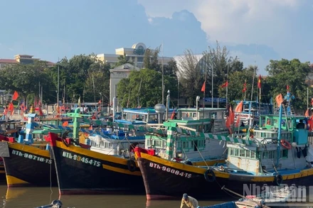 Nhiều tàu cá hết hạn đăng kiểm.