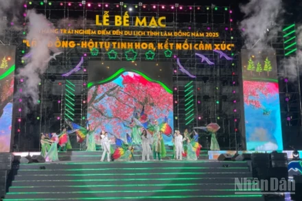 Các tiết mục văn nghệ. 