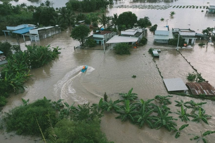 Mưa lũ gây ngập ở tỉnh Lâm Đồng vào đầu tháng 11/2025. (Ảnh THANH HẢI)