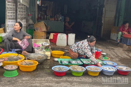Người dân bán thực phẩm tại khu vực tự phát phường Phú Thủy.