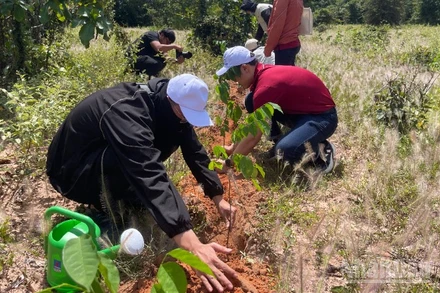 Trồng 700 cây xanh tại Khu Bảo tồn thiên nhiên Tà Kóu.