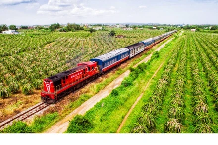 Phát triển các tour đường bộ đến Lâm Đồng.