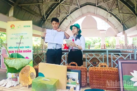 Cùng tìm hiểu về vòng tuần hoàn của sen