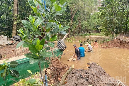 Phương tiện được huy động đến hiện trường cùng người dân thực hiện gia cố các đoạn đê bị vỡ.
