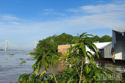 Vụ sạt lở tại khóm Tân Tịch, phường Cao Lãnh gây thiệt hại tài sản, cây ăn trái của người dân.