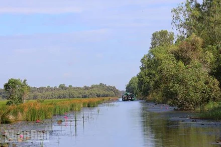 Vườn quốc gia Tràm Chim khoác chiếc áo mới vào mùa nước nổi.