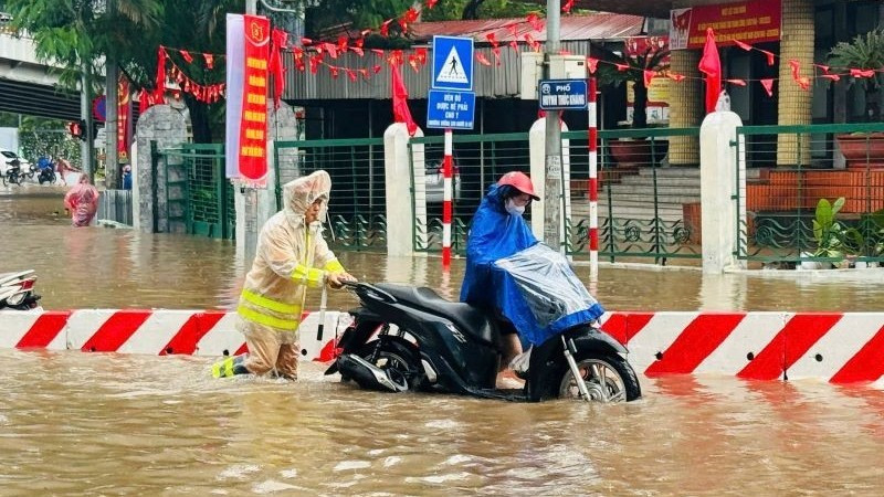 Hình ảnh đẹp trong mưa bão.