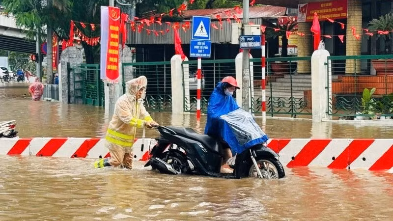 Hình ảnh đẹp trong mưa bão.