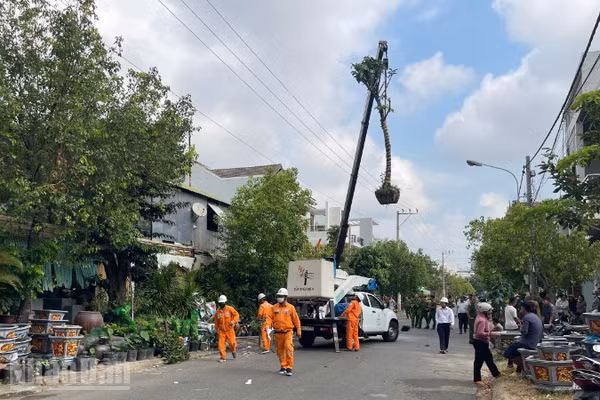 Ngành điện khắc phục sự cố.