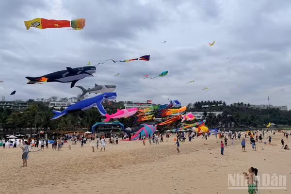 Những cánh diều bay lên bầu trời trên bãi biển đã thu hút nhiều du khách đến vui chơi.