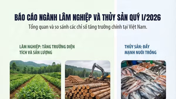[Infographic] Quý I/2026: Sản xuất lâm nghiệp và thủy sản duy trì đà tăng trưởng tích cực