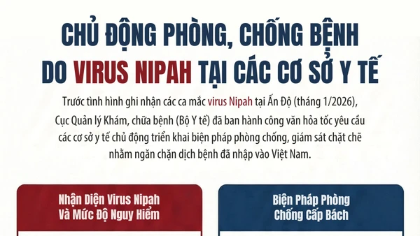 Chủ động phòng, chống bệnh do virus Nipah tại các cơ sở y tế