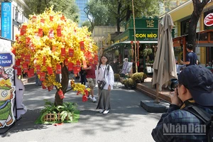 Khách tham quan Đường sách Thành phố Hồ Chí Minh dịp Tết Bính Ngọ. (Ảnh: Linh Bảo)