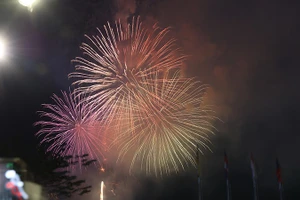 Pháo hoa rực rỡ trên bầu trời Thành phố Hồ Chí Minh trong thời khắc giao thừa. (Ảnh: Hiếu An)