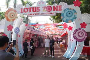 Lễ hội Việt-Nhật lần thứ 11 có nhiều hoạt động hấp dẫn. (Ảnh: Linh Bảo)