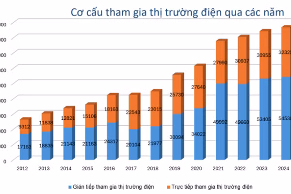 Biểu đồ Cơ cấu tham gia thị trường điện qua các năm. 