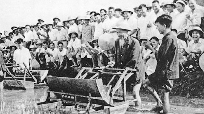 Bác Hồ dùng thử máy cấy lúa cải tiến tại Trại thí nghiệm trồng lúa Sở Nông lâm Hà Nội (16/7/1960). (Ảnh: TL)