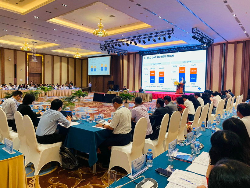 Các đại biểu dự hội nghị.