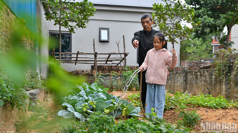 Tống Nhã Linh giúp ông nội chăm sóc mảnh vườn nhỏ xinh bên cạnh nhà. 