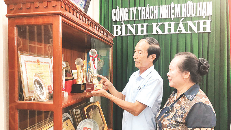 Công ty TNHH Bình Khánh, ông Nguyễn Thanh Bình và bà Phạm Thị Khánh được tặng thưởng nhiều danh hiệu, cúp, bằng khen, giấy khen.