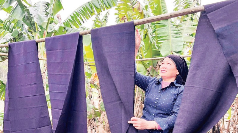 Thiếu nữ người Nùng ở Xuân Dương phơi vải chàm.