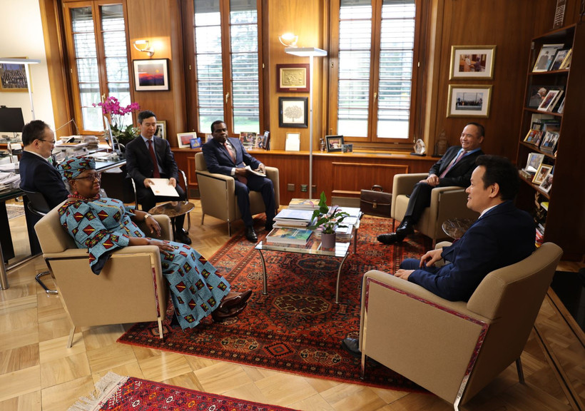 Đại sứ Mai Phan Dũng cùng Tổng giám đốc WTO Ngozi Okonjo-Iweala. (Ảnh: TTXVN)