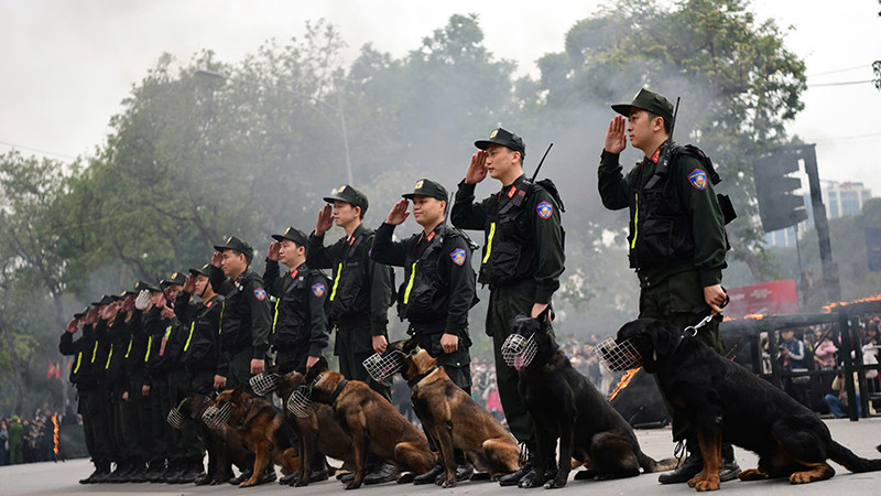 Những màn biểu diễn mãn nhãn của lực lượng kỵ binh và cảnh khuyển, với kỹ thuật điêu luyện và sự phối hợp nhịp nhàng trong các hoạt động biểu diễn.