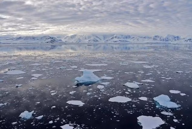 Băng trôi tại Vịnh Chiriguano, quần đảo Nam Shetland, Nam Cực, ngày 7/11/2019. (Ảnh: AFP/TTXVN)