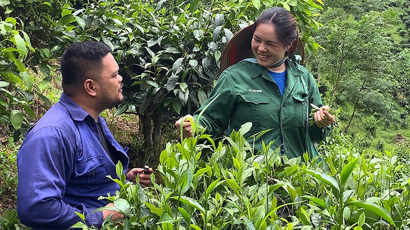 Vợ chồng anh Lường Quang Đại và chị Lý Thị Xuân chăm sóc cây trồng trên ngọn đồi của gia đình.