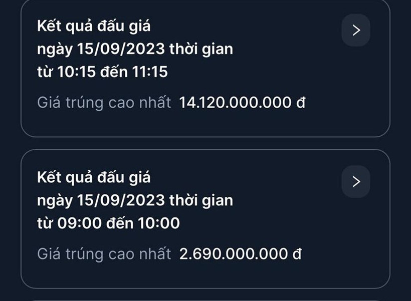 2 biển số đẹp được đấu giá thành công trong phiên sáng nay. (Ảnh: TTXVN)
