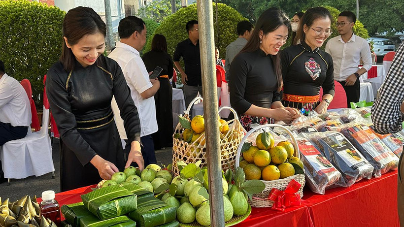 Gian hàng bày bán sản phẩm nông nghiệp của các hợp tác xã huyện Đình Hóa.