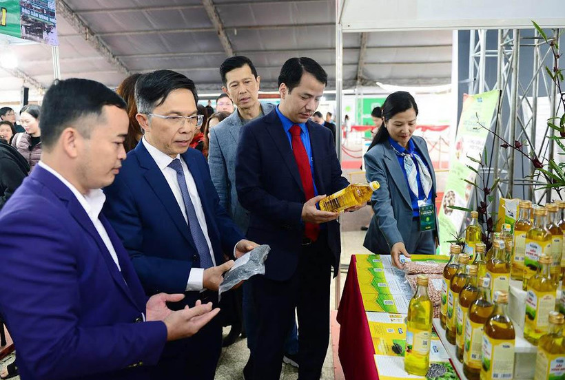 Đại biểu tham quan các gian hàng tham gia Hội chợ thương mại Festival hoa Đà Lạt và nông sản thanh niên toàn quốc.