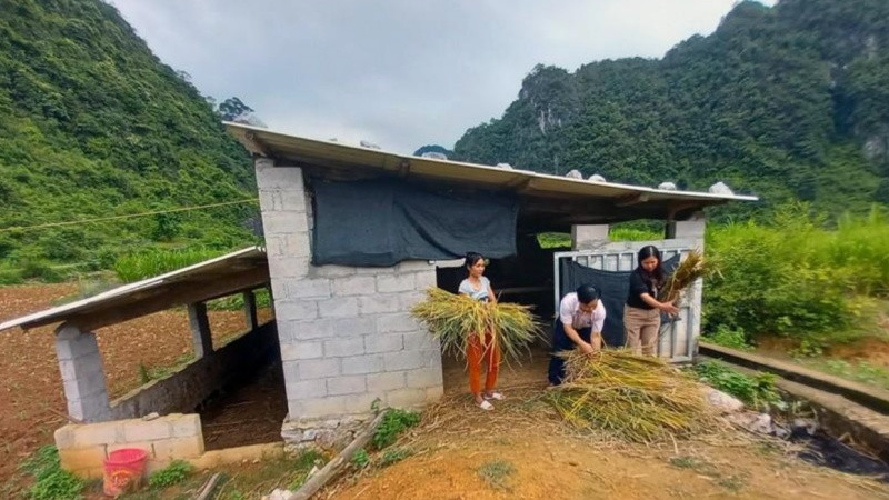 Hộ cận nghèo ở xã Quang Long (huyện Hạ Lang) xây dựng chuồng trại, phát triển chăn nuôi từ nguồn vốn chính sách.