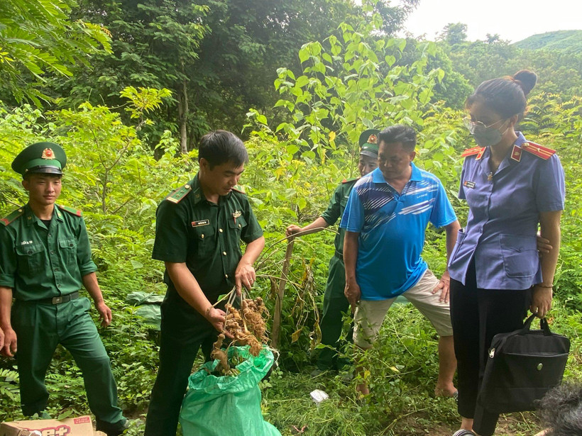 Cơ quan chức năng kiểm tra tang vật trước khi tiêu hủy.