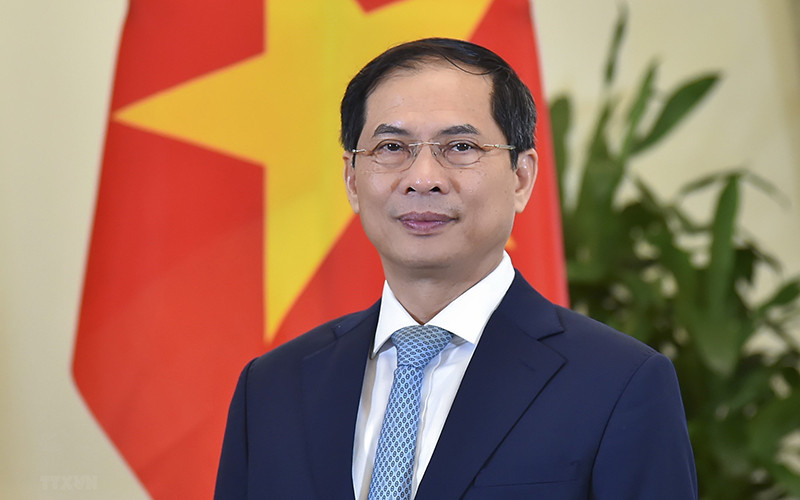 Bộ trưởng Ngoại giao Bùi Thanh Sơn. (Nguồn: TTXVN)