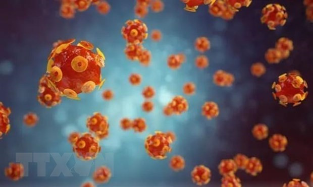 Hình ảnh mô phỏng virus gây bệnh viêm gan. (Ảnh: Getty Images/TTXVN)