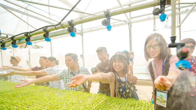 14 nông trường công nghệ cao WinEco cung cấp rau củ quả sạch đến người tiêu dùng thông qua hệ thống WinMart_WinMart+ (1).