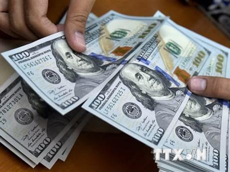 Đồng USD. (Ảnh: AFP/TTXVN)