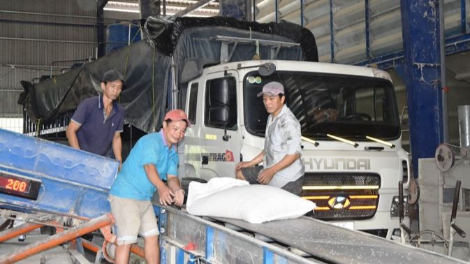 Thị trường xuất khẩu gạo đang khá trầm lắng.